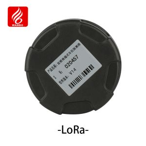Lora Buried Dual Mode Geomagnetic Detector Wireless Communication