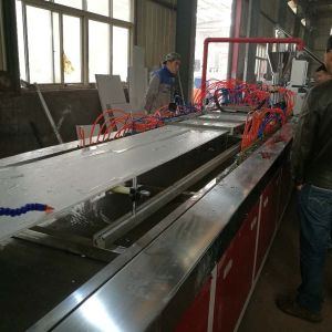 Plastic Profile Extrusion Machine for WPC Ceiling Wall Panel Production Line/PVC