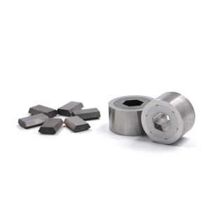 Professional Customized Punch Die Carbide Segmented Dies