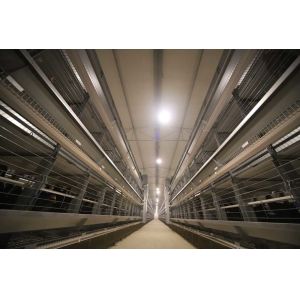 Buy cheap High Working Efficiency Wire Breeding Cages Easy Cleaning Environmental Friendly product