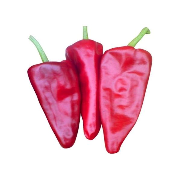 Buy cheap Nature Red Hot Yidu Chili For Making Sambal 8,000 SHU from wholesalers