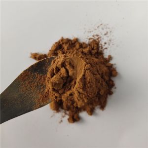 Gmp Sarcandra Glabra Extract For Antirheumatic