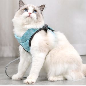 Buy cheap Soft Reflective Adjustable Small Cat Harness And Lead For Walking Escape Proof Cat from wholesalers