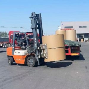 Compostable Coated Kraft Board For Salad