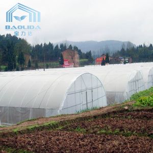 Buy cheap Polyethylene Film Tunnel Steel Frame Greenhouse Single Span Ground Inserted from wholesalers