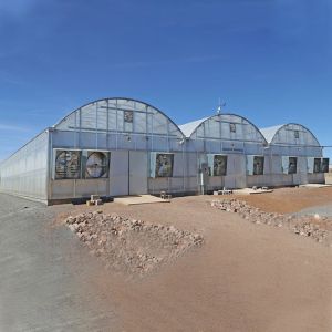 Buy cheap Multi Span Vegetable Animal Flower Growing Agriculture Polycarbonate Sheet Greenhouse from wholesalers
