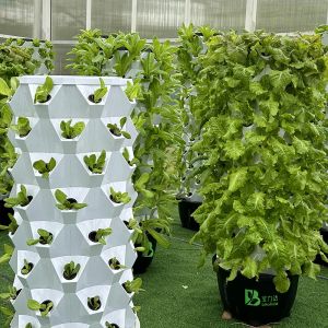 Buy cheap 80 Plant Holes Hydroponic Plant Tower With 1-23 Hours Timing from wholesalers