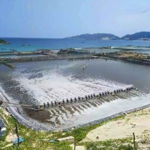 1m-8m Width Geomembrane Sheet 850% Elongation at Break for Fish Pond and Shrimp