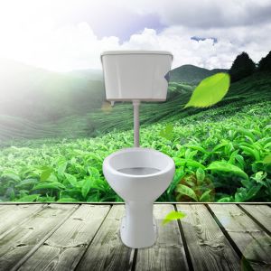 Buy cheap Skirted Jacuzzi Two Piece Toilets Top Flush Hanging Wc Split Toilet product