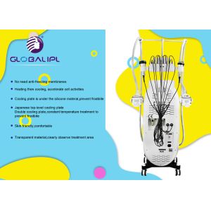 Cryolipolysis Body Slimming Machine / Cavitation Weight Loss Machine Fat Removal