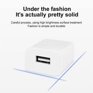 10W 5V 2A Mini USB Wall Charger Cell Phone With Over Current Protection