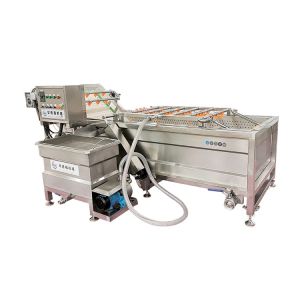 Small Fruit Washing Machines And Drying Machines Mini Indian