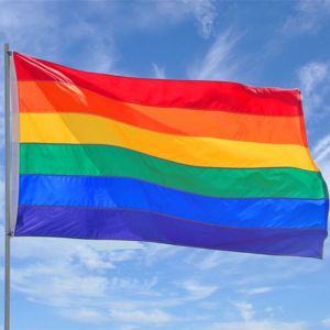 Buy cheap 3X5 RAINBOW Double Sided FT POLYESTER FLAG GAY PRIDE from wholesalers