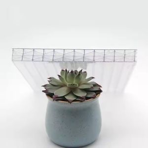 Transparent Eco-friendly X-structure Multiwall Polycarbonate Sheet 16mm