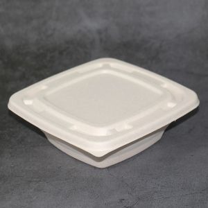 Eco Biodegradable Sugarcane Disposable Bowls 16oz Square Bowl With Lid
