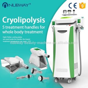 2019 Newest 6 handles cryolipolysis fat freezing slimming machine NBW-C325