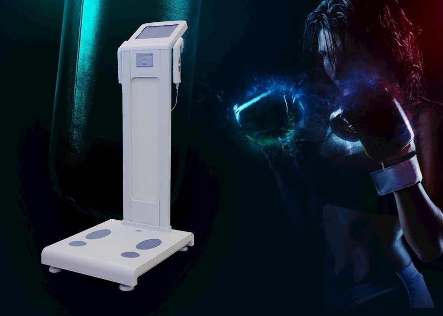 Buy cheap Two Frequency Body Composition Analyzer Fat Analysis Machine With Computer Software And Thermal Printer Inside from wholesalers