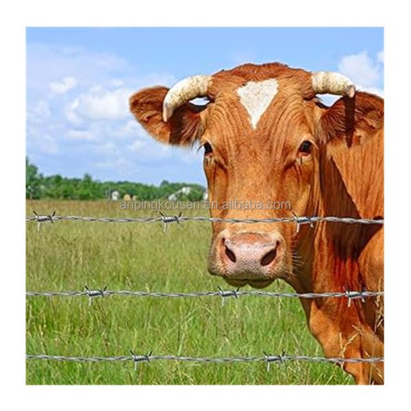 Buy cheap Chain Link Fence Barbed Wire Coil 14x14 16x14 Galvanized with Length 20m/25m/30m/50m from wholesalers