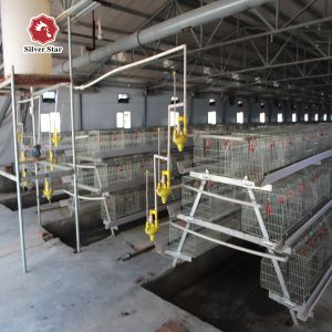 Buy cheap Galvanized Baby Chick Wire Bird Breeding Cages Automatic Farming from wholesalers