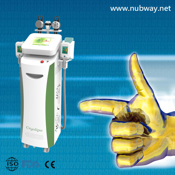 Buy cheap Cryolipolysis Slimming Machine For Body Contouring / Fat Freezing Machine from wholesalers