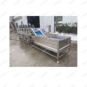 Buy cheap Hot Promotion System Coconut Washing Machine Industrial from wholesalers