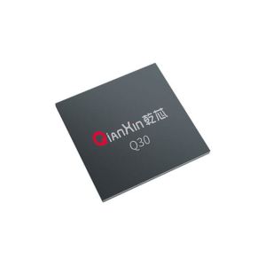 Buy cheap Q30 FPGA Core Iris Chip – Single-Chip Solution for Iris Recognition and Matching with Strong Encoding & Matching Capability from wholesalers
