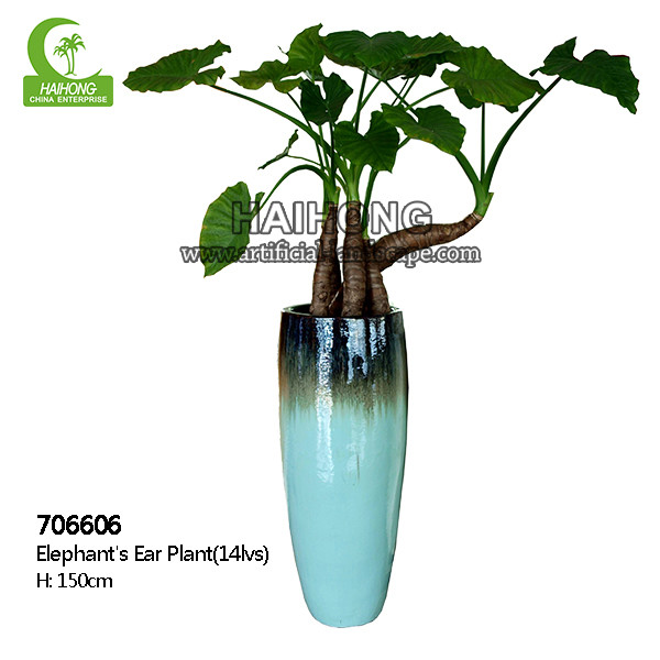 Quality High Simulation Natural Elephant's Ear Plant With Beautiful Pots for sale