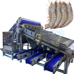 China Fully automatic multi-functional fish and shrimp sorting and grading machine Customized roller rapid shrimp grading mach on sale