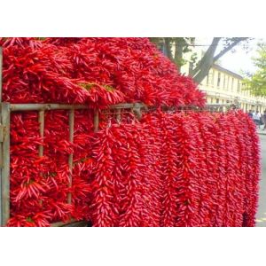 Buy cheap Seedless Whole Dry Chilli Chaotian Sichuan Facing Heaven Chillies from wholesalers