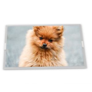 Buy cheap RGB Vertical Stripe 15 Inch LCD Screen Display 1024*768 TFT Type Model G150XAN01.0 from wholesalers