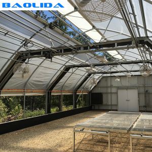 Buy cheap 16ft Wall Height Sides Ventilation Shading System Automated Blackout Greenhouse from wholesalers