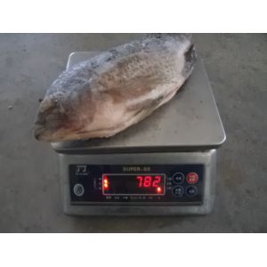 Buy cheap Fresh Good Quality Gutted and Scaled Tilapia from wholesalers