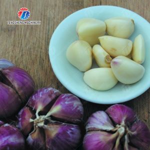 Buy cheap Garlic splitting machine minced garlic processing production Line from wholesalers