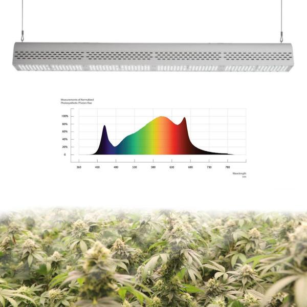 Quality ETL Listed Passive Cooling Hydroponic Led Grow Lights White Shell Design for sale