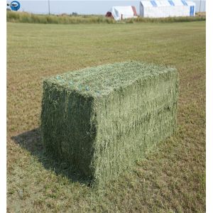 Buy cheap Agriculture PP/ PE Packaging Baler Twine from wholesalers