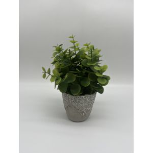 Buy cheap Artificial plants from wholesalers
