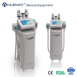 Buy cheap New design 5 handles cryolipolysis slimming machine with top quality from wholesalers