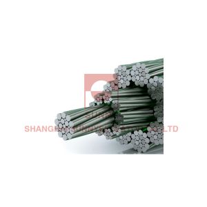 PAWO F10 Gustav Wolf Elevator Wire Rope Bending Resistance