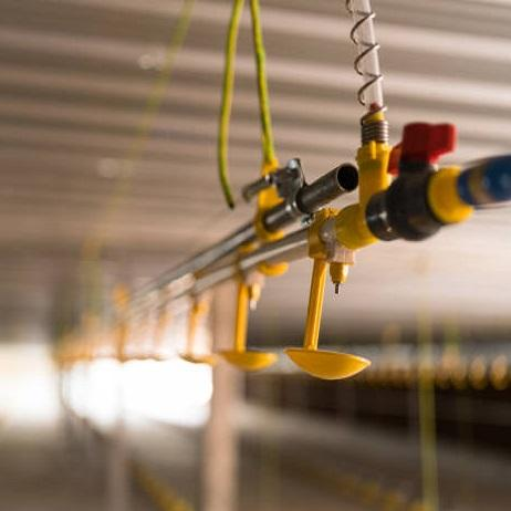 Lightweight Prefab Chicken House with 150mph Wind Resistance
