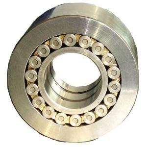 BNUP3681171 full complement cylindrical roller bearings suppliers china