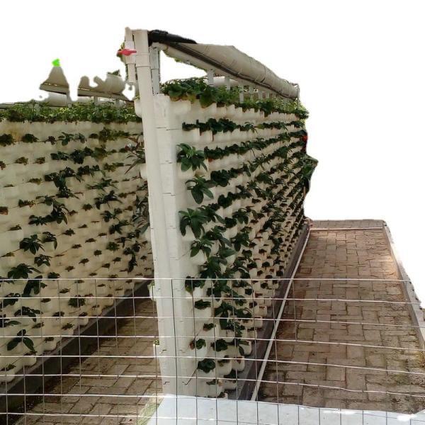 Buy cheap Grow Your Own Strawberries at Home with this Hydroponic Growing System Easy to Install from wholesalers