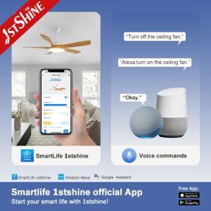 Modern Design 5 ABS Blades LED Ceiling Fan with Silent Motor and ROHS Certificat