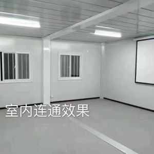 Galvanized Steel Frame Luxury Flat Pack Container House for Residential Living