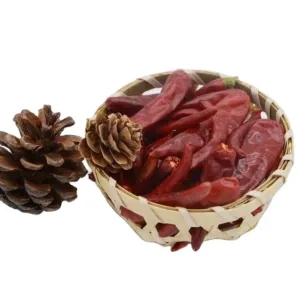 China 500 SHU Guajillo Chili Peppers 8~12% Moisture Vacuum Packed on sale