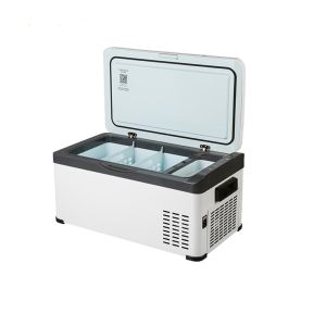 Buy cheap PAHS Camping 20L Dual Room Low Noise Car Refrigerator from wholesalers