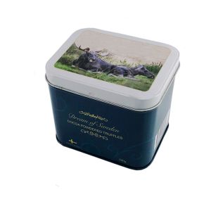 Rustproof Rectangular Printed Tin Boxes With Hinged Lid Antiwear