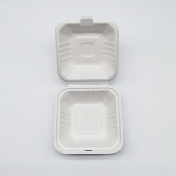 Quality 6 Inch Biodegradable Take Out Containers , White Biodegradable Clamshell Packaging for sale