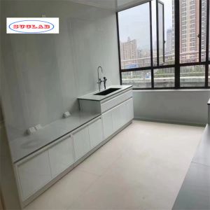 Buy cheap Standard Size Versatile Lab Furnitures Laboratory Casework for Various Scientific Applications from wholesalers