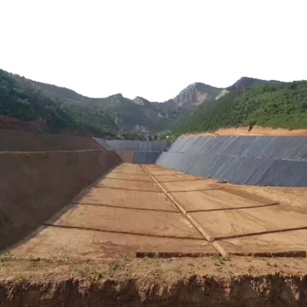 Quality 1m-10m Width HDPE Geomembrane 0.2-3mm Pond Liner for Fish Pond Swimming Pool Digester for sale