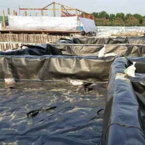 Buy cheap Industrial Geosynthetic Plastic Fish Pond Lining Liner Sheet Waterproof HDPE Geomembrane from wholesalers
